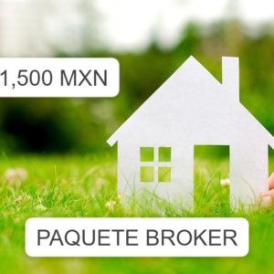 paquete broker