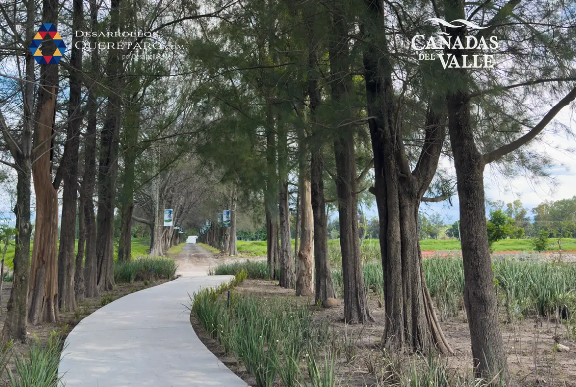 canadas valle queretaro lotes residenciales informes