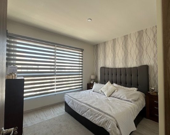 084c50ff 42e6 4981 b8b1 a9eda84a7651