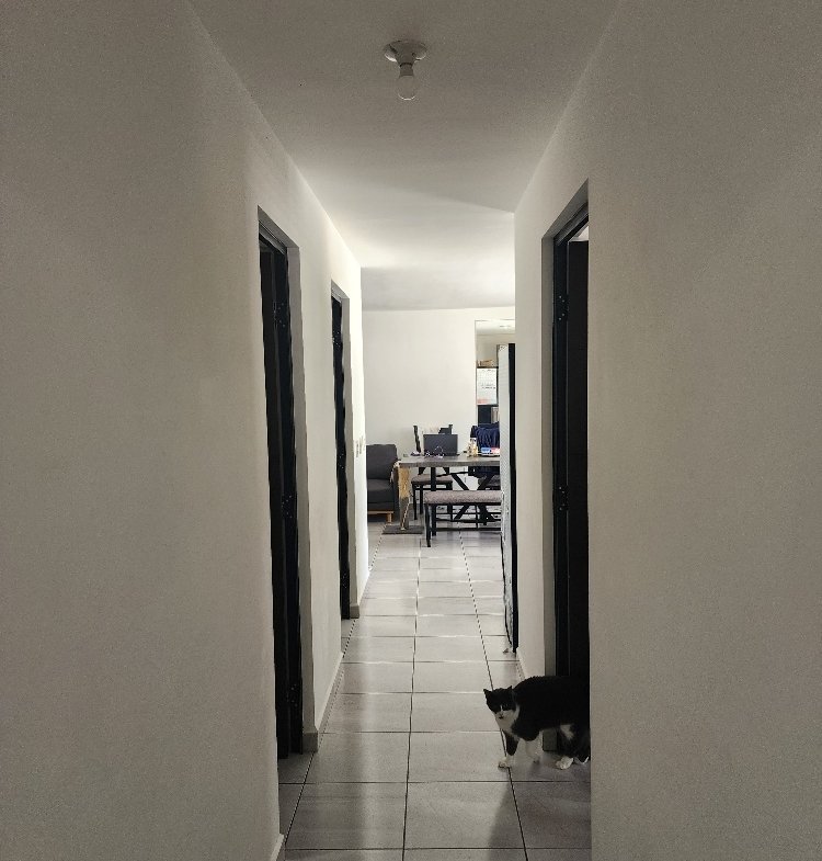 20251007 125814 resized 1