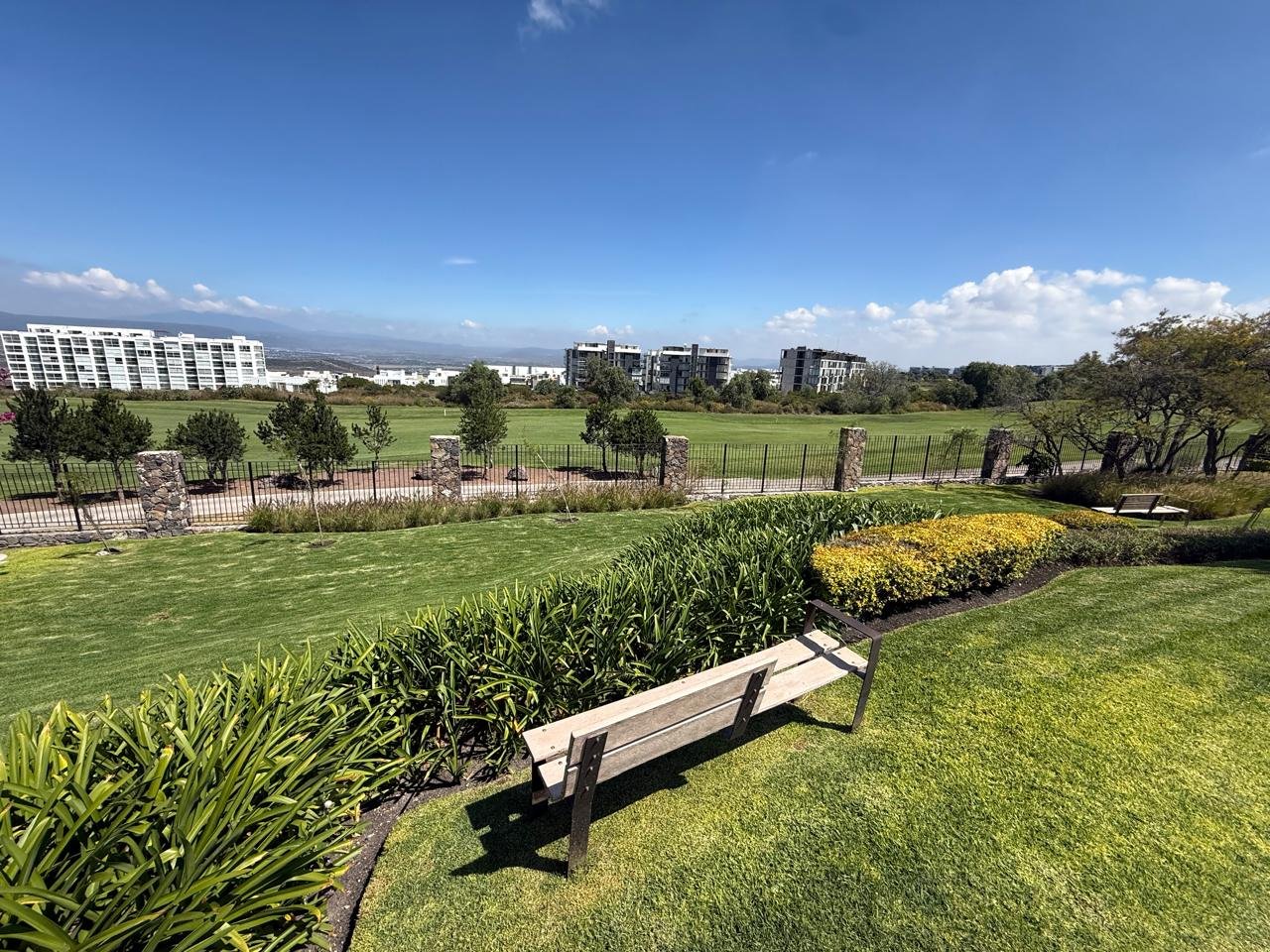 whatsapp image 2025 11 24 at 9.05.54 pm (2)