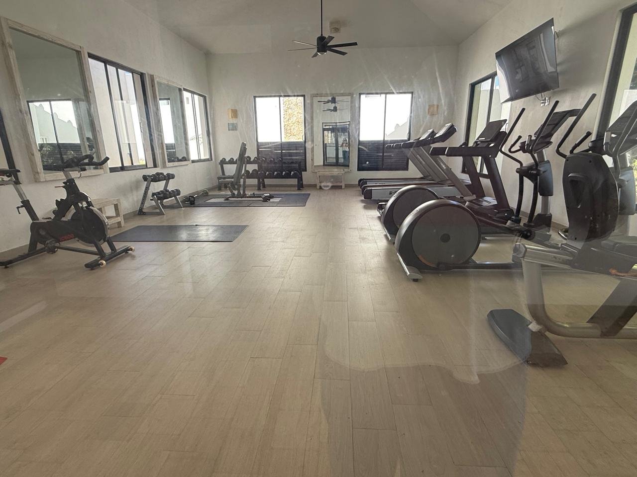 whatsapp image 2025 11 24 at 9.05.54 pm (4)