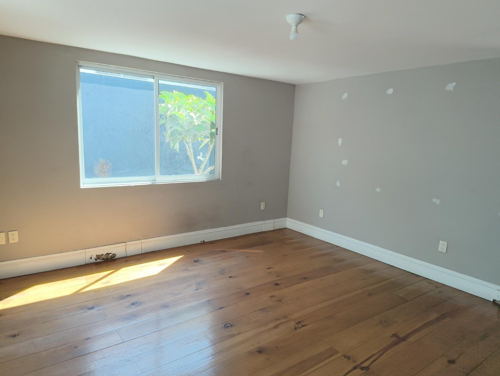 whatsapp image 2026 02 12 at 13.42.42 (9)