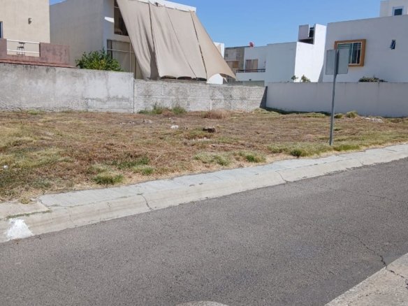 02 whatsapp image 2026 02 21 at 11.14.18 (1)