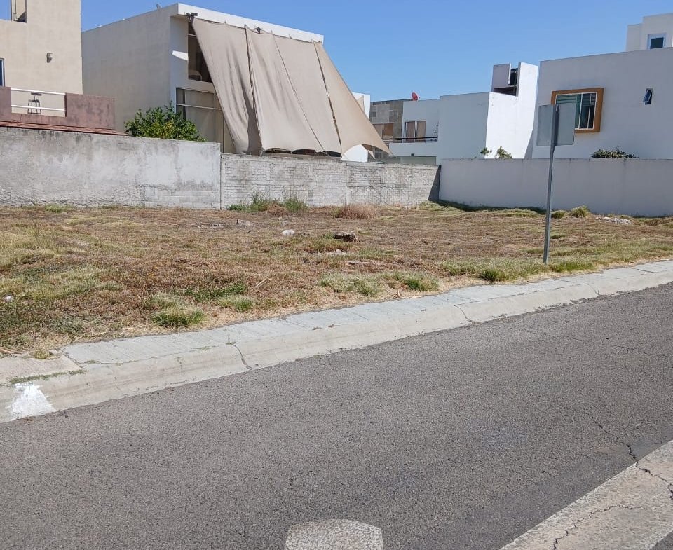 02 whatsapp image 2026 02 21 at 11.14.18 (1)