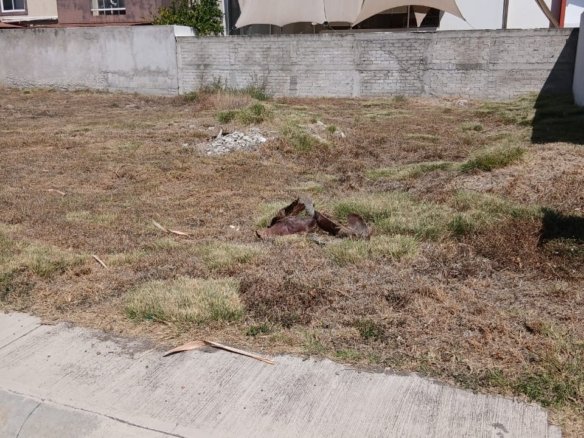 03 whatsapp image 2026 02 21 at 11.14.18 (3)