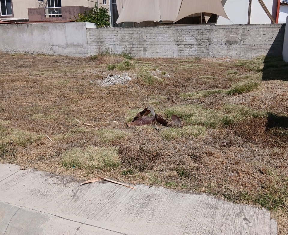 03 whatsapp image 2026 02 21 at 11.14.18 (3)