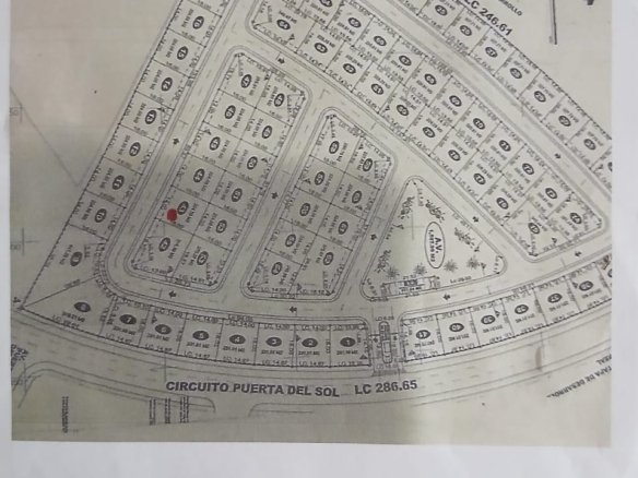 whatsapp image 2026 02 21 at 11.14.17