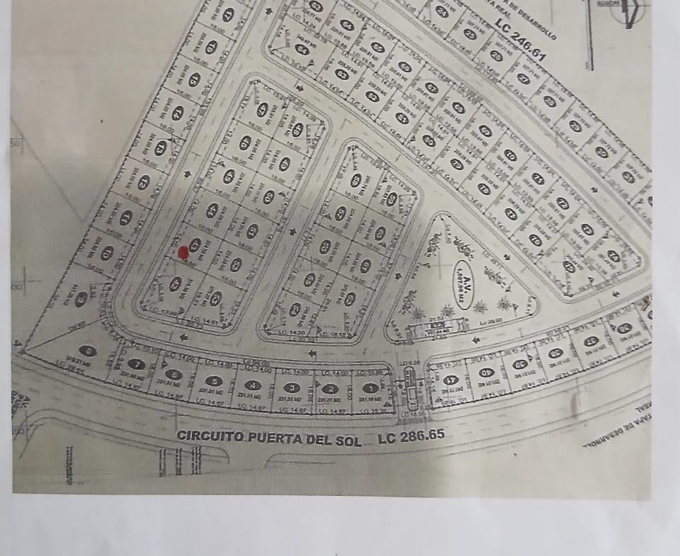 whatsapp image 2026 02 21 at 11.14.17