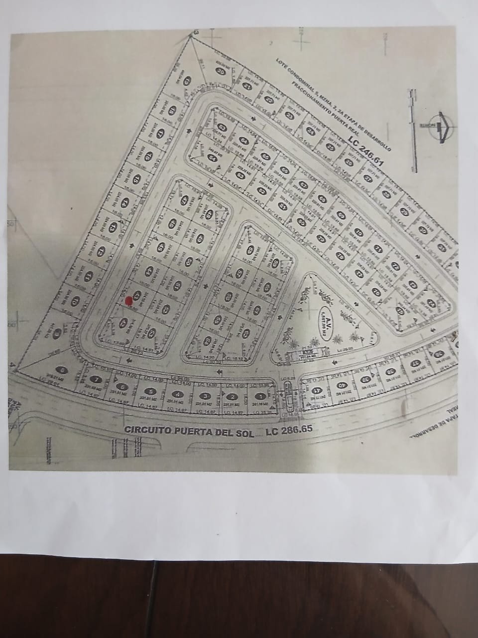 whatsapp image 2026 02 21 at 11.14.17