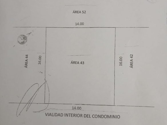 whatsapp image 2026 02 21 at 11.14.18