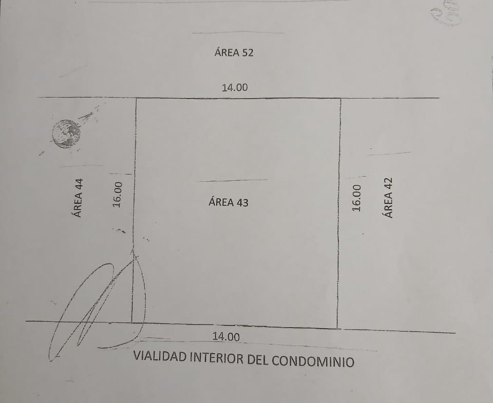 whatsapp image 2026 02 21 at 11.14.18